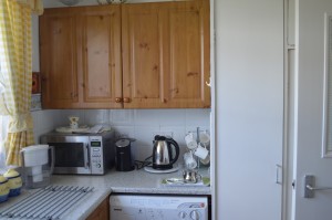 Kitchen Pic2